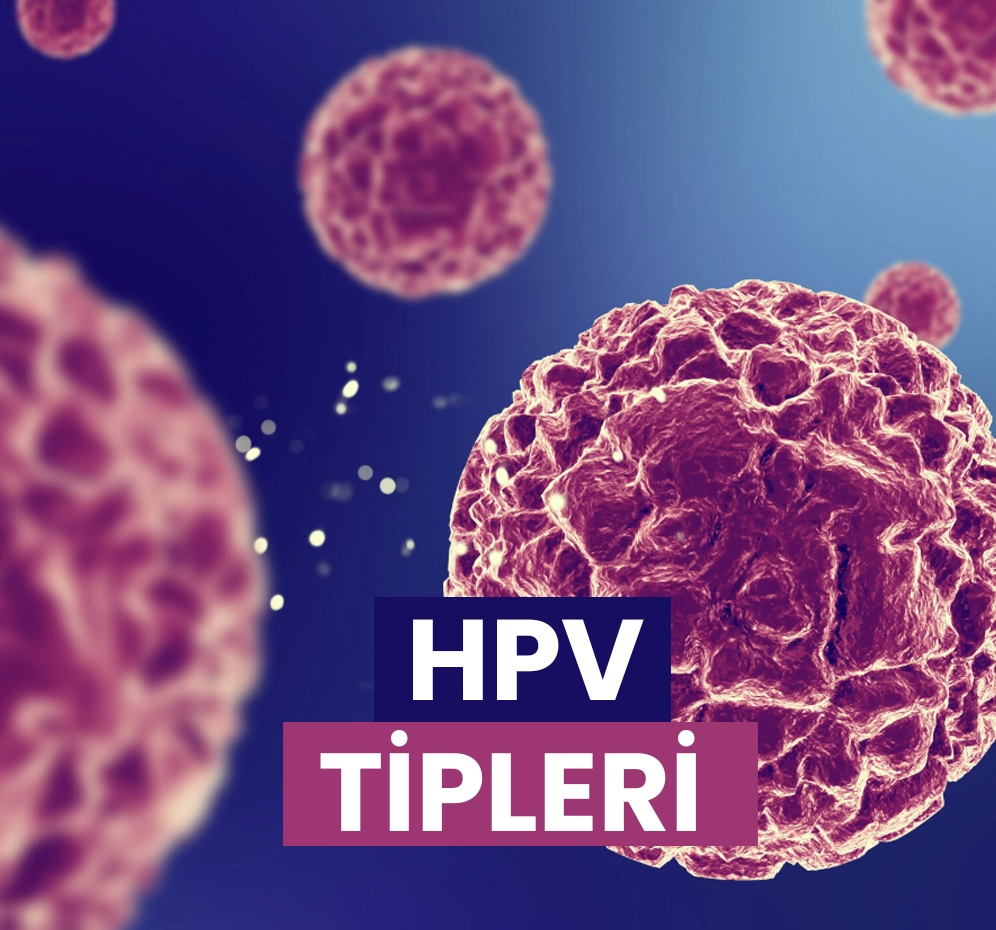 HPV Tipleri